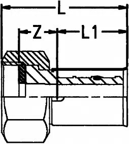 Разборное соединение  c внутренней резьбой Wavin Tigris K1 - изображение товара 0